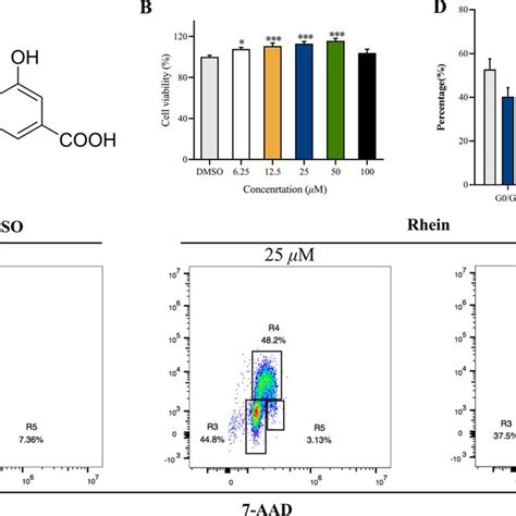 Effects Of Rhein On The Viability And Proliferation Of Keratinocytes A