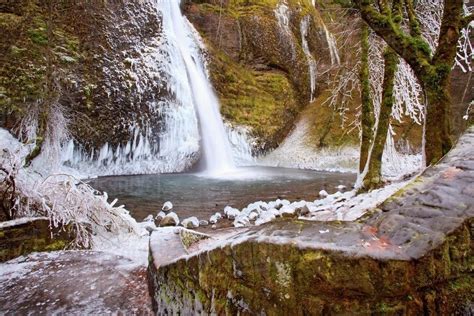 Winter Ice Storm By Latourell Falls Columbia River Gorge Oregon Usa