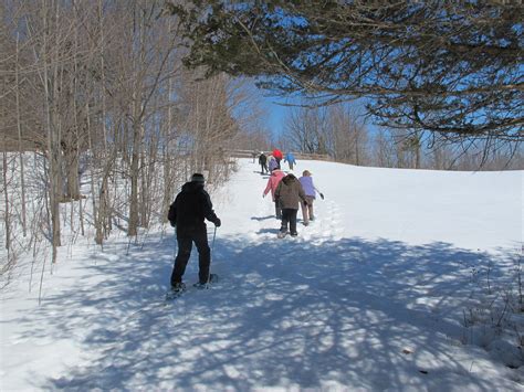 Snowshoeing Is Fun And Good For You Dion Nevitrek Snowshoes