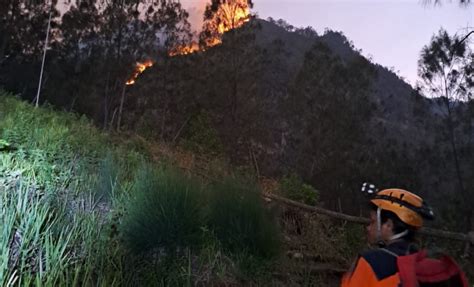 Kebakaran Di Gunung Panderman Batu Meluas 40 Personel Gabungan