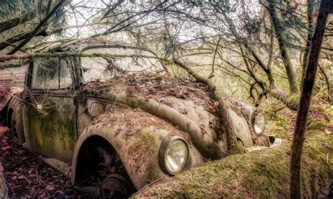 Outdoors Old Vehicle Twigs Branch Rust Car Volkswagen Trees