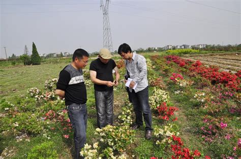 我校植物园有关负责人受邀担任全省农业技能大赛评委 浙江农林大学