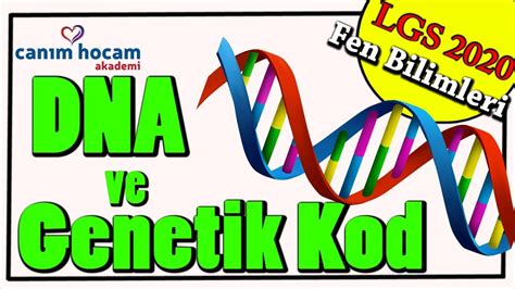 Dna Ve Genetik Kod Dna Lgs 2020 8sınıf Fen Bilimleri Youtube