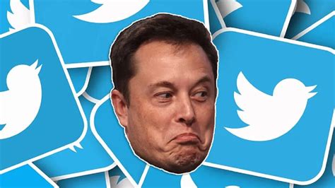 Es Un Hecho Elon Musk Ha Cancelado La Compra De Twitter C Digo Espagueti