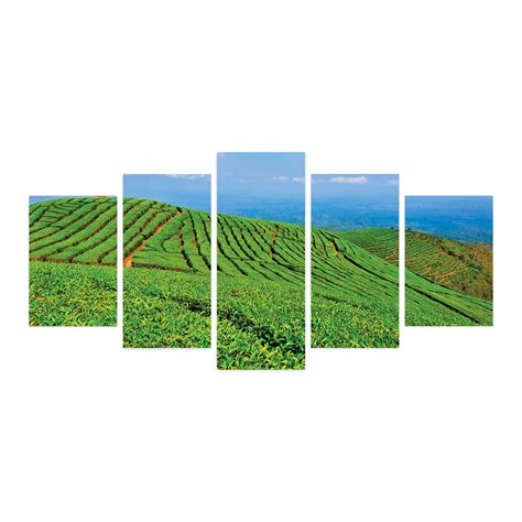 Landscape 5 Panels Acrylic Glass Wall Art Traditional Tea Plantation