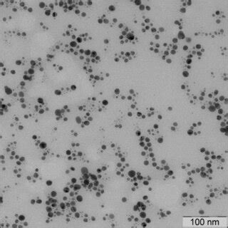 Transmission Electron Microscopy TEM Images Of The AgNPs Obtained