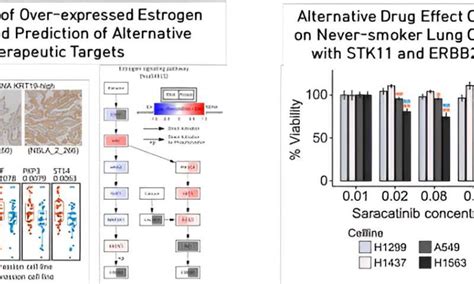 New Pathways For Treating Never Smoker Lung Cancer Revealed Healthmedicinet