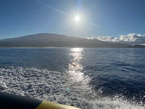 Maui Snorkel Charters Kihei All You Need To Know Before You Go