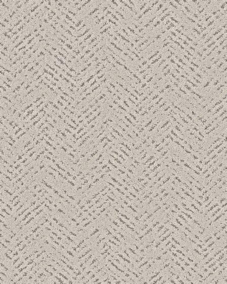 Shaw Pet Perfect Quiet Trail Carpet Exchange