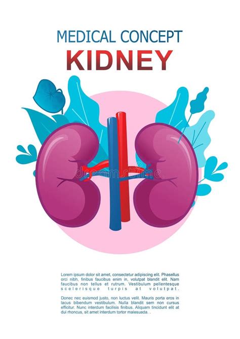 Medisch Poster Voor Interne Organen Vector Illustratie Illustration