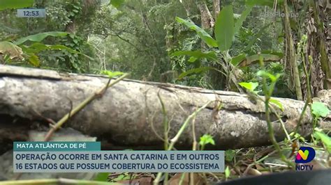 Operação Mata Atlântica de Pé ocorre em SC e em mais 16 estados que