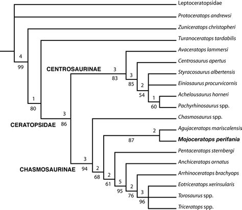 Strict Consensus Of 6 Most Parsimonious Trees Showing The Phylogenetic Download Scientific