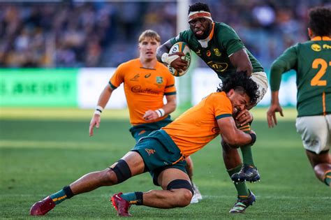 Siya Kolisi Thanks You The Loyal Springbok Fans [video] Sportnow