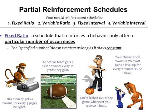 Reinforcement Schedules How Often Should You Administer Reinforcement