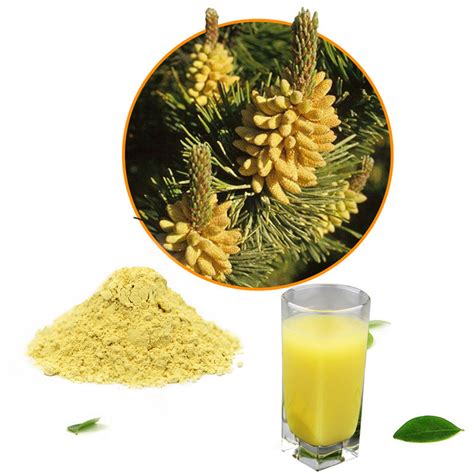 Health Organic Pine Pollen Powder Cracked Cell Wall Mountain