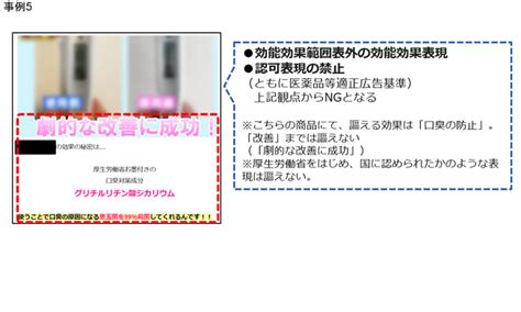 【定期調査】薬機法・景品表示法違反の恐れがある広告表現の配信実例 2024529｜infoseekニュース