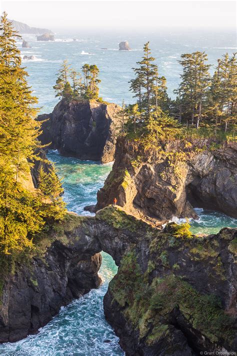 Oregon Coast Brookings Oregon Grant Ordelheide Photography