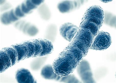 Pathogen Control | Woodard