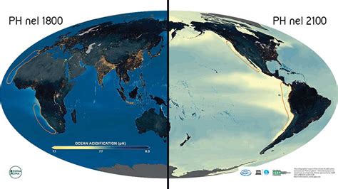 Acidificazione Degli Oceani Quali Conseguenze Rischiamo Icona Clima