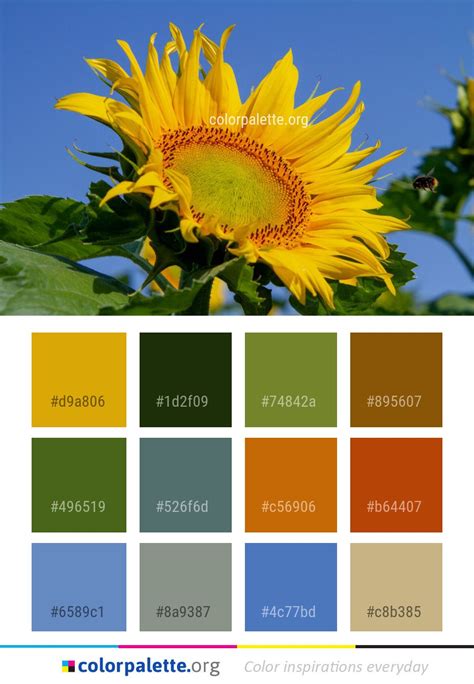 Sunflower Yellow Color