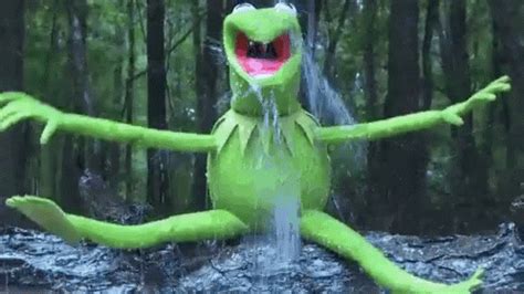 Kermit The Frog GIF - Green Kermit KermitTheFrog - Discover & Share GIFs