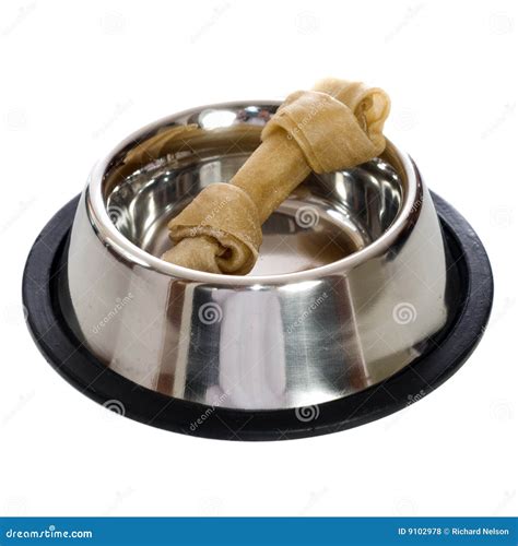 Dog Bone stock photo. Image of silver, reward, dinner - 9102978