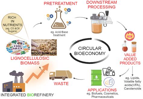 BIOREFINERY | BioRender Science Templates