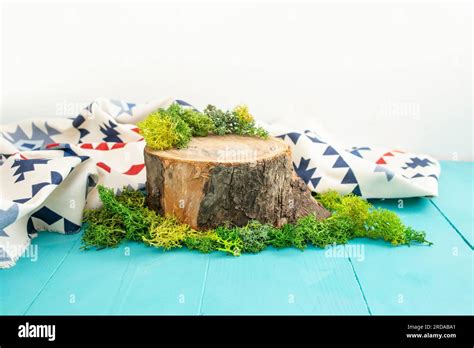Tree Trunk Cross Section With Green Stabilized Lichen And Rustic Cloth