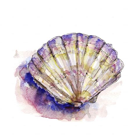 Watercolor Vector Sea Shells Seashell Painting Sea Life Wall Art