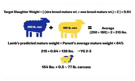 National Beef Wire Direct Marketing Lamb Estimating Finish Weights