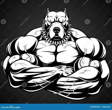 Strong Pitbull Bodybuilder Cartoon Vector 72110573