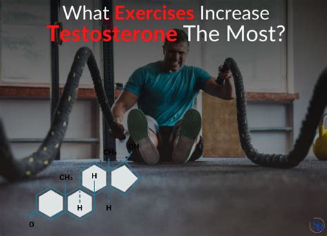 Boost Testosterone Dr Sam Robbins