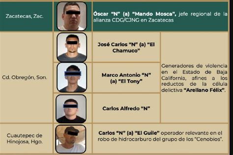 Fotos Cae El Mando Mosca Cerebro De La Ofensiva Del Cjng Y El Cártel