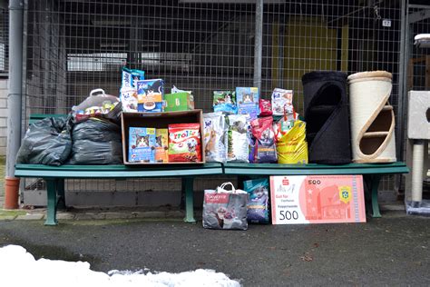 Organisation Tierfreunde Vom BSV Viktoria Bielstein Spenden Erneut An