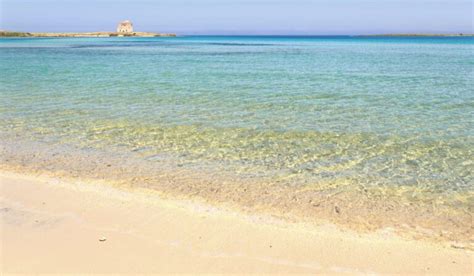 Dalle Isole Tremiti A Porto Cesareo Viaggio Tra Le Aree Marine