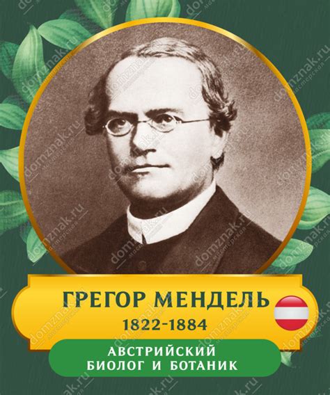Стенд для кабинета биологии «Портрет Грегор Мендель»