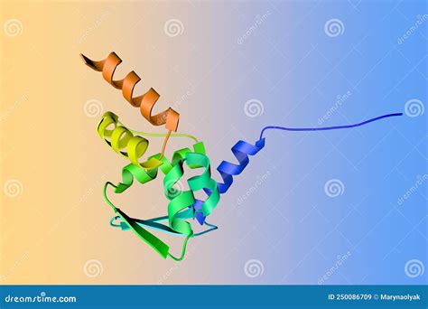 Btb Domain From Promyelocytic Leukemia Zinc Finger Protein Ribbons