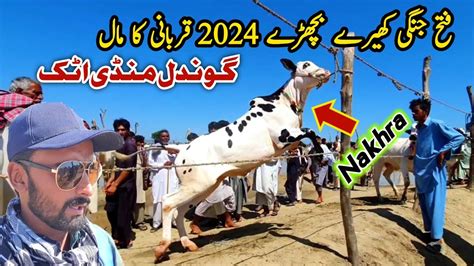 K Kheery Bachry Gondal Mandi Attock Update July Domail K