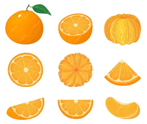 Premium Vector Set Of Fresh Whole Half And Cut Slice Tangerine Or