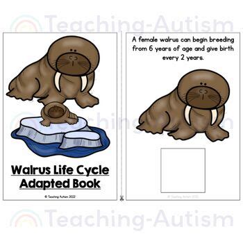 Life Cycle of a Walrus Adapted Book for Special Education | Walrus Life Cycle