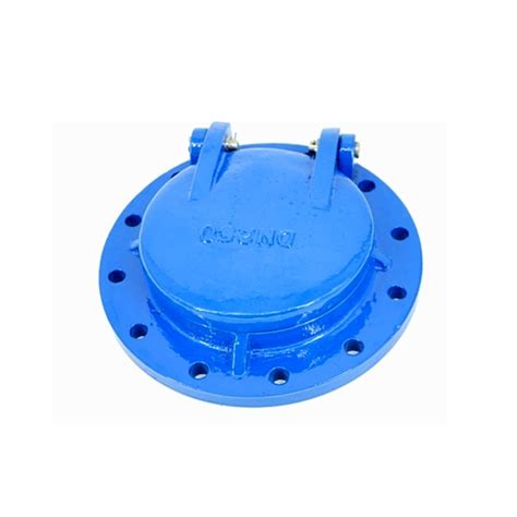 China Dn200 Ductile Cast Iron Flanged Flap Gate Valve Supplier Flap Gate Valve And Dn200 Flap