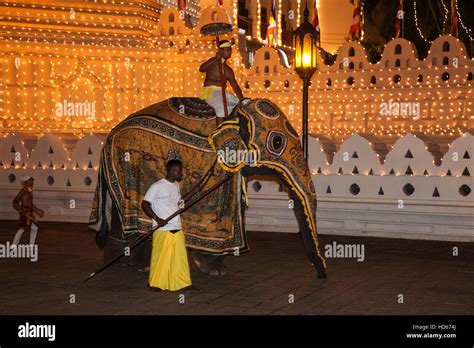 Elephant kandy perahera buddhist festival hi-res stock photography and images - Alamy