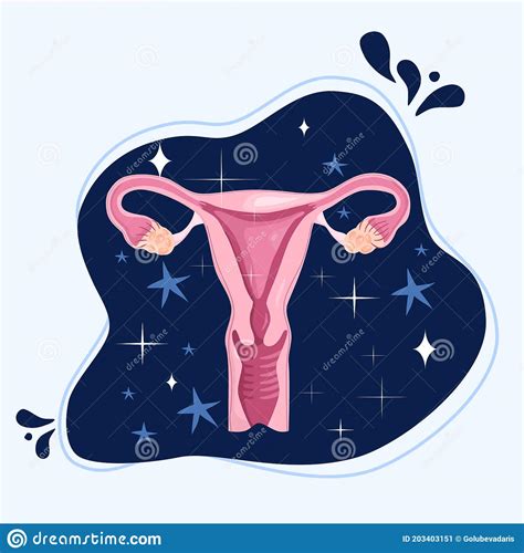 Sistema Riproduttivo Femminile Sano Su Fondo Cosmico Posterutero E