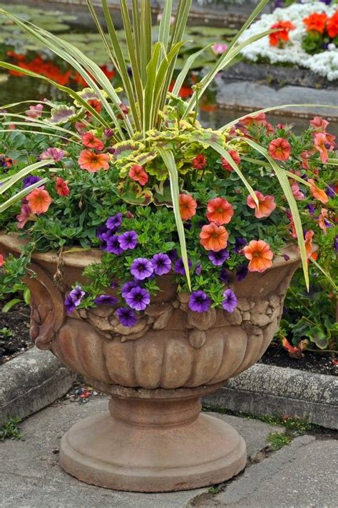 20 Container Flower Garden Design Ideas To Try This Year SharonSable