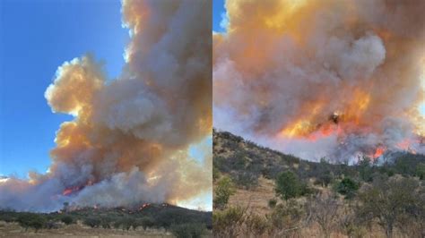 Videos Estos Son Los Registros Del Voraz Incendio Forestal En