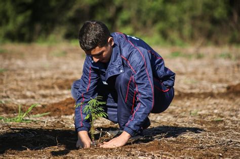 26ºGAC recupera área degradada por desvio no Rio Jordão