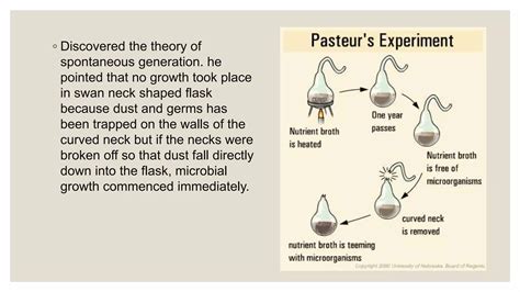 Louis Pasteur And Robert Koch PPT