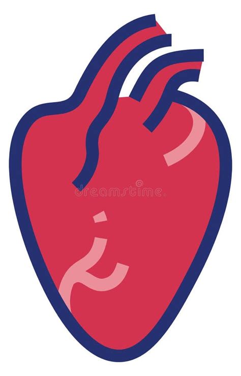 Human Heart Icon. Cardiology Symbol Stock Vector - Illustration of color, blood: 265503215