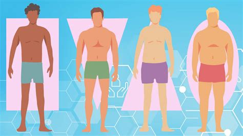 Body Type Quiz: Discover Your Unique Somatotype - Endomorph, Ectomorph, or Mesomorph? – Fitness Volt