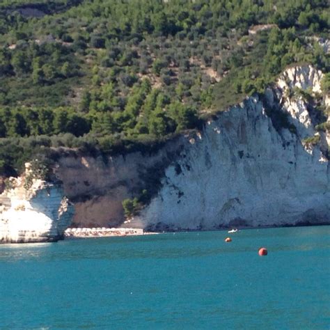 Spiaggia Di Vignanotica Vieste Qué Saber Antes De Ir 2025